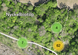 Skärmbild på webbkarta